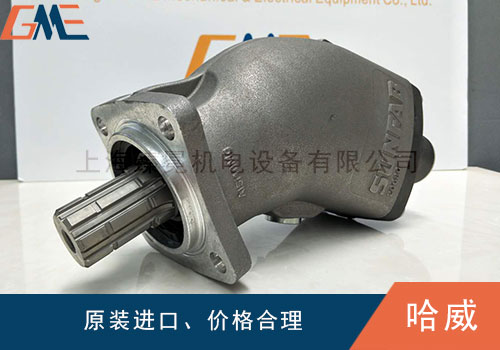 HAWE哈威液壓泵會出現(xiàn)哪些故障，如何解決？